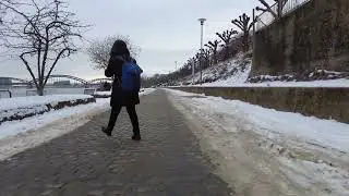 Rheinufer K&ouml;ln 2024