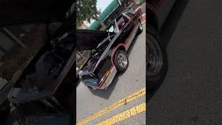 Like new all stock &lsquo;83 Cutlass Hurst/Olds spotted at a show this summer.