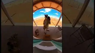 Kangaroo vs Wind: Wind wins.#ai  #memes  #sora  #funny  #aivideo  #yeet  #frenchie