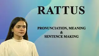 RATTUS - Znaczenie_i_Wymowa_Słownik_Audio_Wideo_Światowy