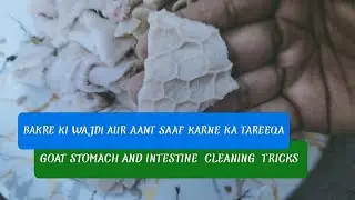 Bakre ki wajdi or aant saaf kar ne ka tareeka|Goat stomach and intestine  cleaning ep.158 