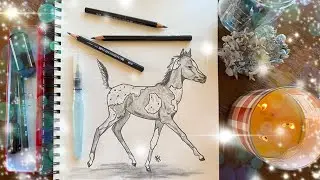 Graphite Dreams: Capturing a Foal's Spirit