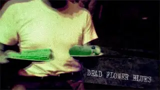 The Rootworkers - Dead Flower Blues (Official Video)