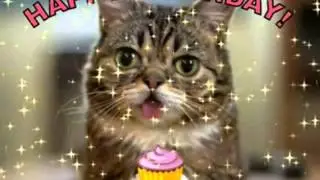 Happy Birthday, Lil Bub Style!