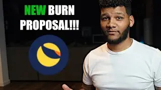 TERRA-MILLIONAIRE!!! New Terra LUNA Classic Burn Proposal!!! My Thoughts!