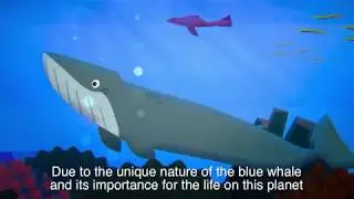 QUE COMEN LAS BALLENAS