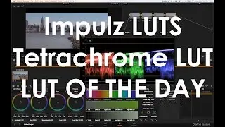 Цветовая гамма GH4: Impulse LUTS: Tetrachrome LUT; Профиль Cine D.