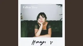 Fallen Tree