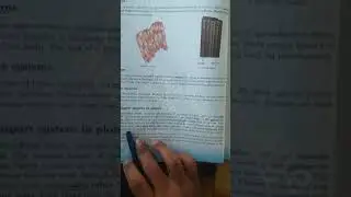 Amazing Science 6th class Tissues ,Organ,organ system,transportation system in plants