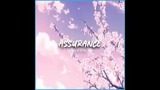 Assurance (Instrumental) - Z E U $