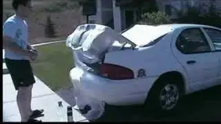 Racing Stripes Trunk