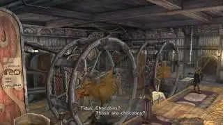 FINAL FANTASY X - CHOCOBO POWER!!!