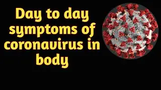 Day to day symptoms of coronavirus in body