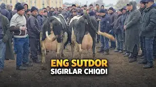 Bugun Daxshat Boldi Buvayda Yangiqo'rg'on Mol Bozori Albatta Koring Baxo Bering 