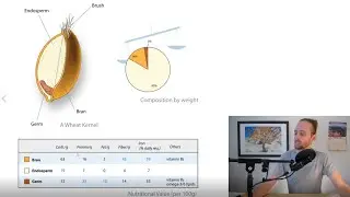 How to Choose Healthy (Whole) Grain Foods by Reading Labels