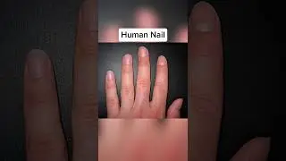 Things That Look Scary When Zoomed In 🤯
