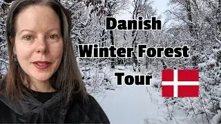 Soft Spoken Denmark Forest Tour 🌳 Magical Winter Walk | ASMR Denmark