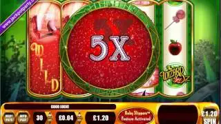 &pound;800 MEGA BIG WIN (666 X STAKE) THE WIZARD OF OZ Ruby Slippers&trade; AT JACKPOT PARTY