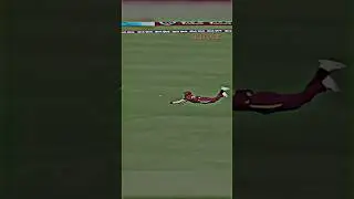 Best Catch Of The Mass 🔥Bangladesh vs West Indies #skshahin #cricket #bestcatch