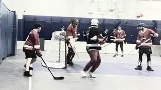 5TMSL Dynasty Hockey Season 2 Playoff Trailer