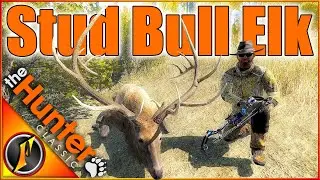 STUD Bull Elk в наших поисках гигантского оленя-мула! | theHunter Classic