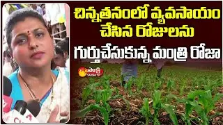Minister RK Roja Remebering her Childhood Farming | Sakshi TV Live