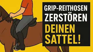 Grip-Reithosen zerst&ouml;ren deinen Sattel! | Reitsport-Rheinmain