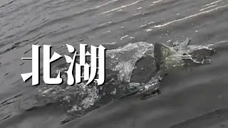 真冬の琵琶湖でハニタスLR【バス釣り】