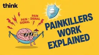 How Do Painkillers Work (Explained)