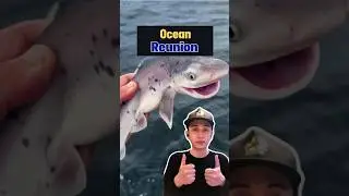 Shark's Heartfelt Reunion 😭🦈❤️ #animalrescue