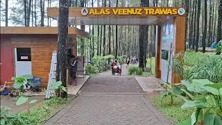 Liburan Ke Alas Venus Trawas. Sueru pol gaes!