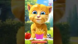 When Ginger Gets Tickled! 😂🪶 | Laugh Attack!