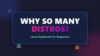 Why Are There So Many Linux Distributions? (Explained for Beginners)