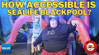 Sealife Blackpool Accessibility Tour