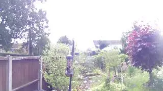 BIRD FEEDER LIVE CAMERA: Watching Garden Birds outside our Window