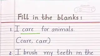 Fill in the blanks 