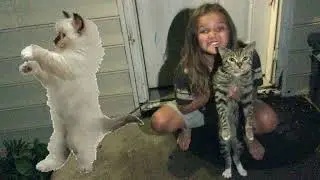 My kitty cat part 4￼