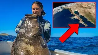 She found a BIG GROUPER Spearfishing in MEXICO | Baja Azul 2022 Episode 3