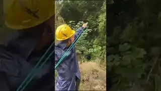 Break bamboo with slingshot#wolfhunter
