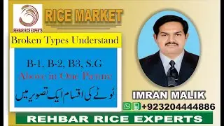 Broken Rice Types in One Picture || Types of Broken Rice || B1|| B2 || B3 || B1 B2 B3 || Broken Type
