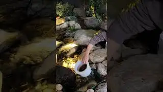 Pondless Waterfall vs Pitless Waterfall: What's the difference?