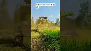 Kartar 4000 #4000 #kartar new 2025 model #mahindratractor#harvester #combin