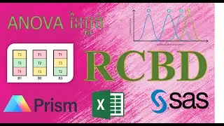 ការវិភាគ ANOVA នៃប្លង់ Randomized Complete Block Design #anova #sas #GraphPad prism
