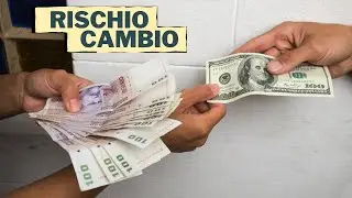 cosa &egrave; il rischio di cambio?