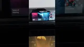 Food recognition on Siemens Oven - Potatoes