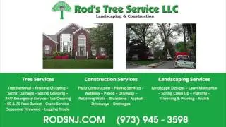 Morris County NJ Tree Removal Services