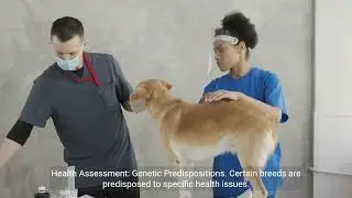 **