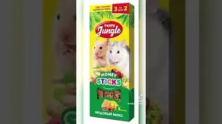 https://www.youtube.com/@xomka_27
