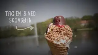 A trip along the Odense River