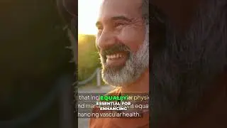 Healthy Lifestyle: Boost Your Vascular Health!